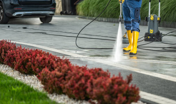 Best Driveway Pressure Washing  in Binghamton, NY